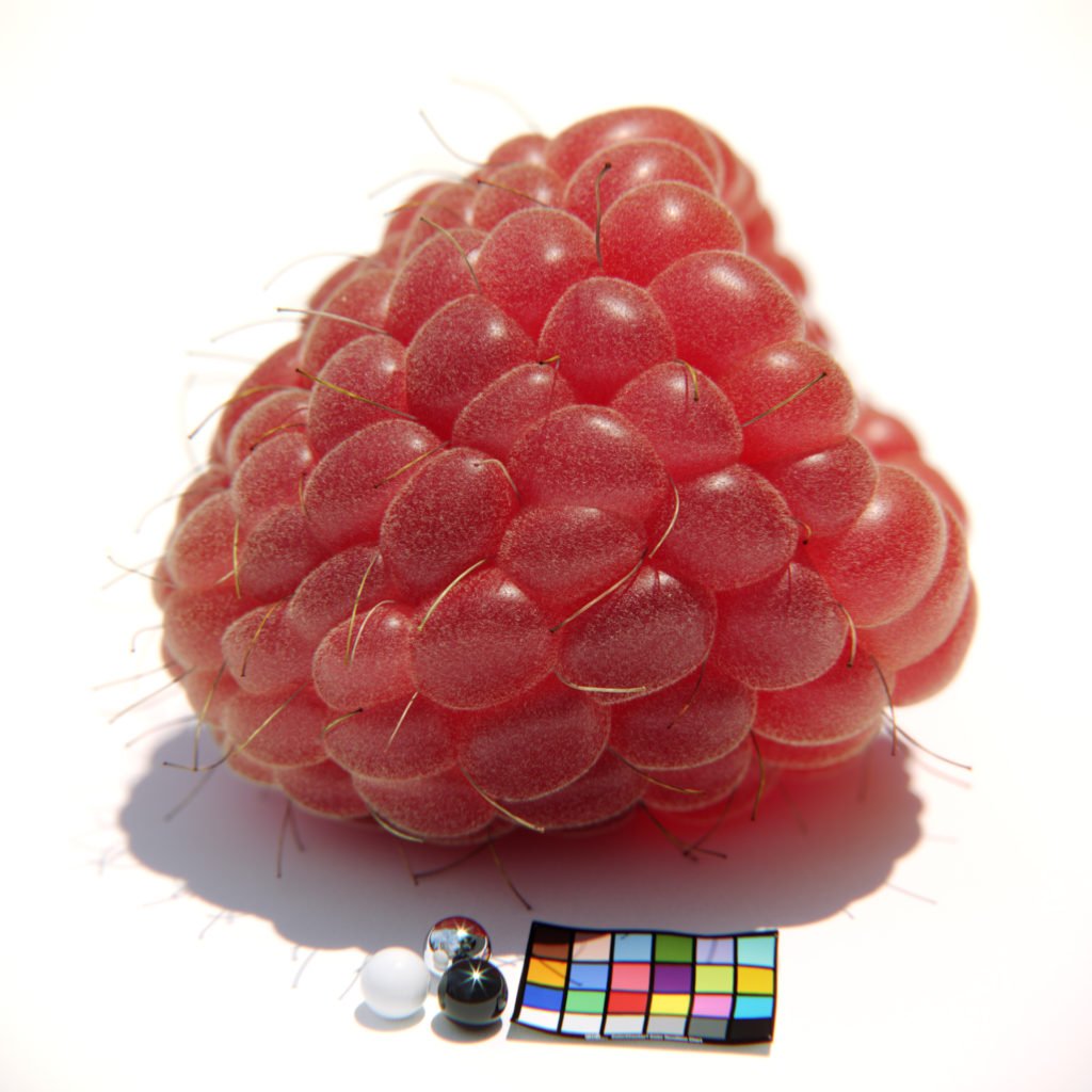 raspberry_new